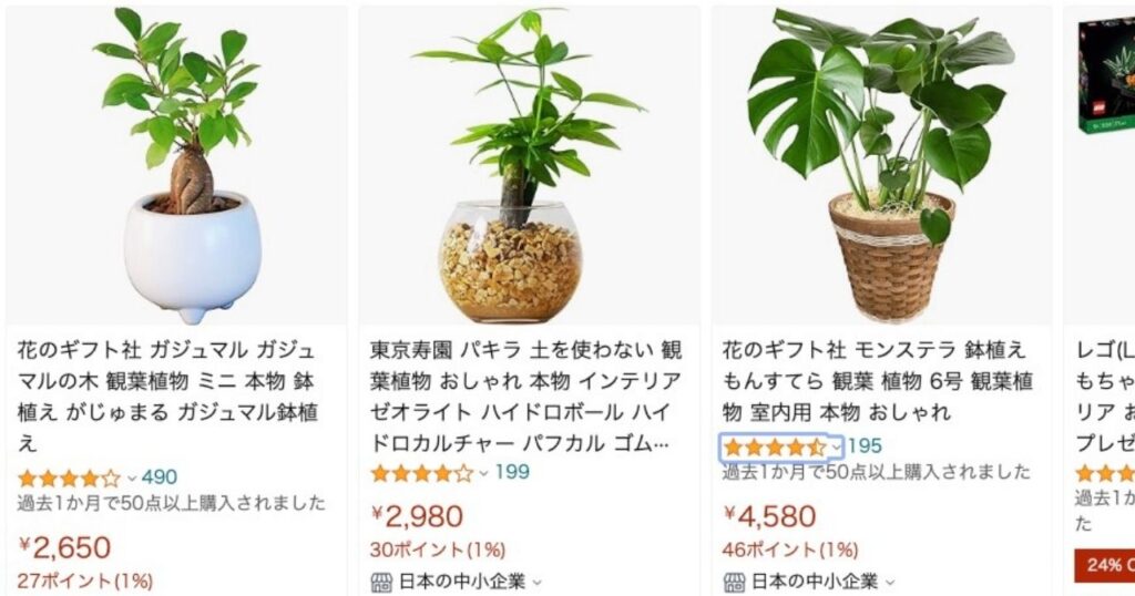 多肉植物を買えるオンラインショップ_アマゾン（Amazon）