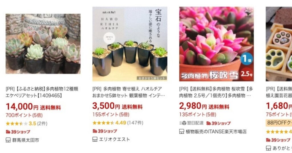 多肉植物を買えるオンラインショップ_楽天市場