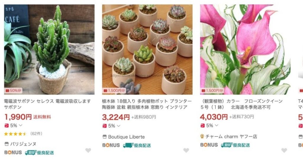 多肉植物を買えるオンラインショップ_Yahoo!ショッピング