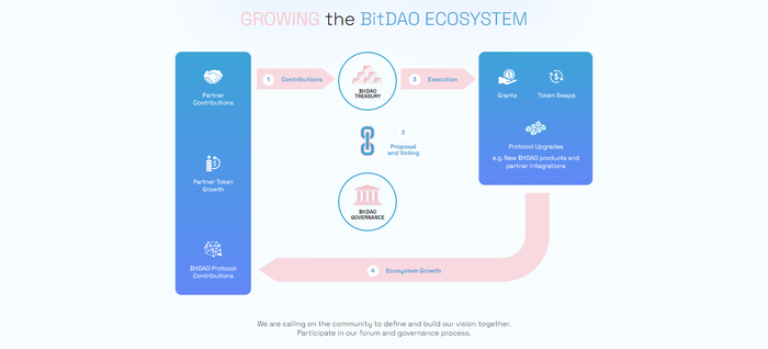 BitDAO（ビッダオ）の主な特徴_将来有望なDeFiプロジェクトを支援する組織