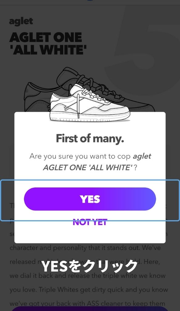 Agletの始め方・登録方法_yesをクリック