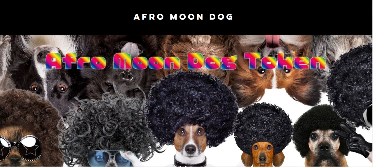 アフロ・ムーン・ドッグ（Afro Moon Dog/AMD）